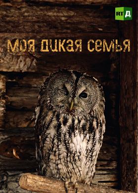 Моя дикая семья