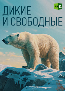 Дикие и свободные