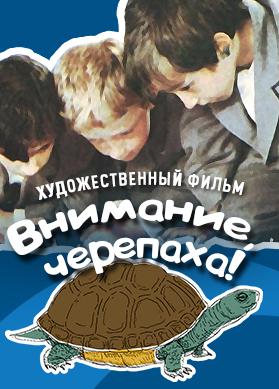 Внимание, черепаха!