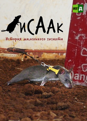 Исаак. История маленького гиганта