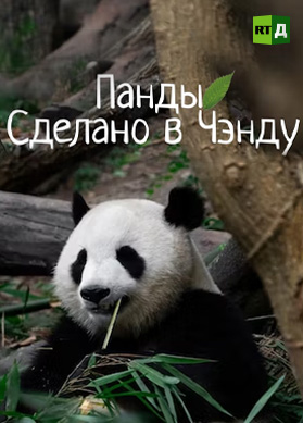 Панды. Сделано в Чэнду