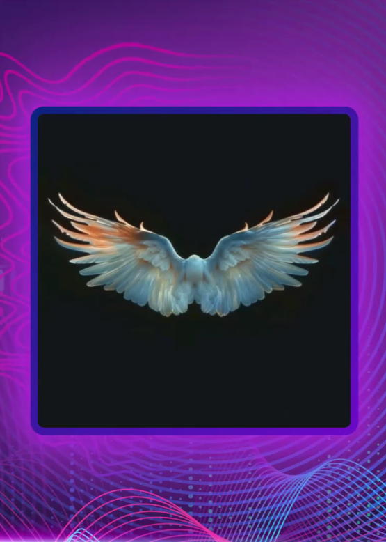 RACOONA. Благодать