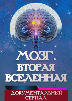 Мозг. Вторая Вселенная