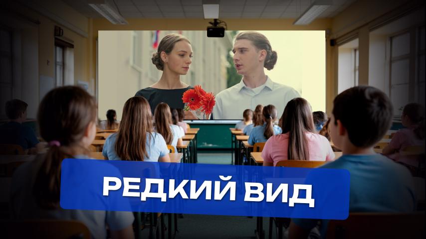 Серия 4 - Редкий вид