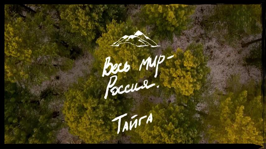 Серия 1 - Тайга