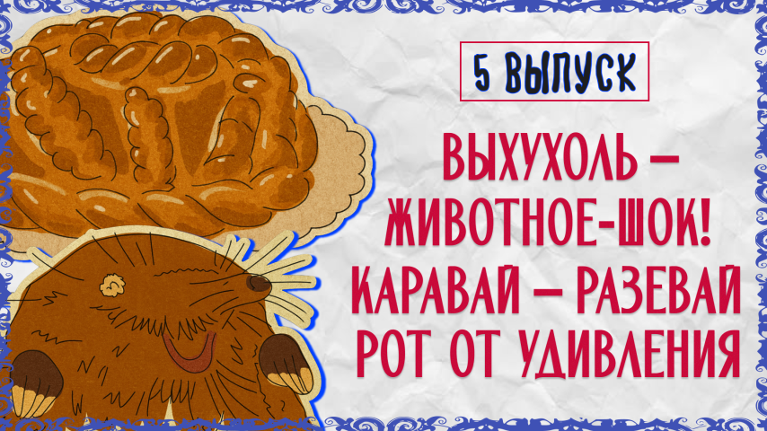 Серия 5 - Выхухоль – животное - шок! Каравай – разевай рот от удивления