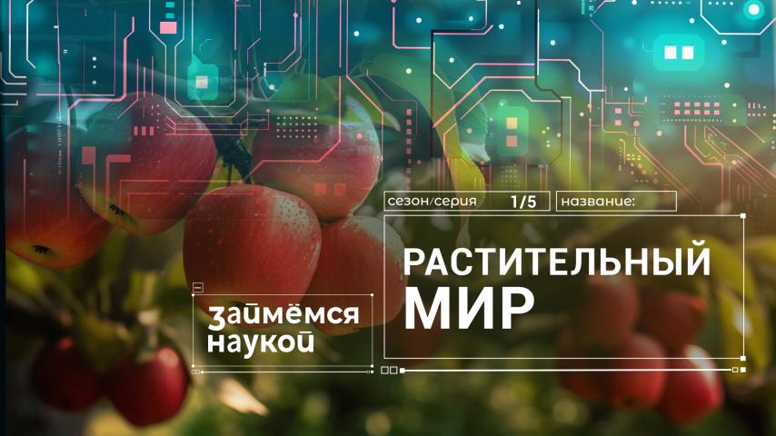 Серия 5 - Растительный мир