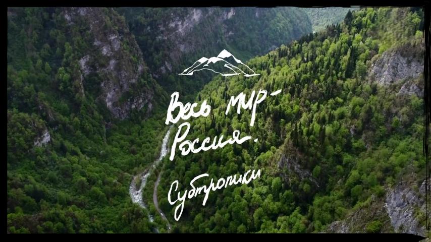 Серия 5 - Субтропики