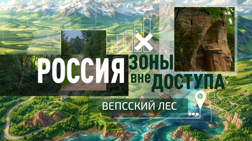 Серия 10 - Вепсский лес