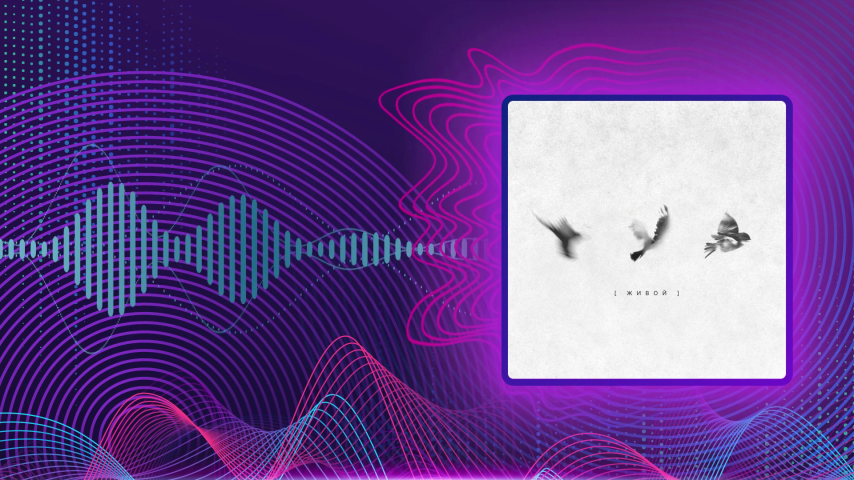 Аня Лихотворик. Живой