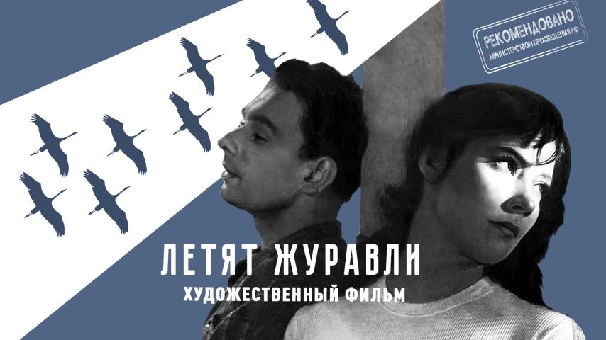 Летят журавли